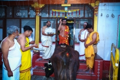 Gurupurnima Celebration - 2022